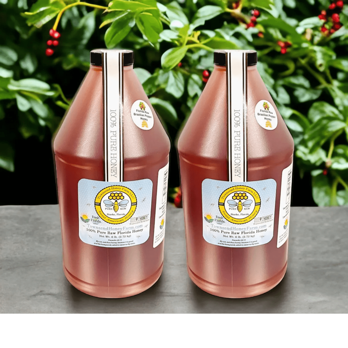 Florida Pure Raw Brazilian Peppertree Honey - 1 Gallon - Townsend Honey Farm LLC