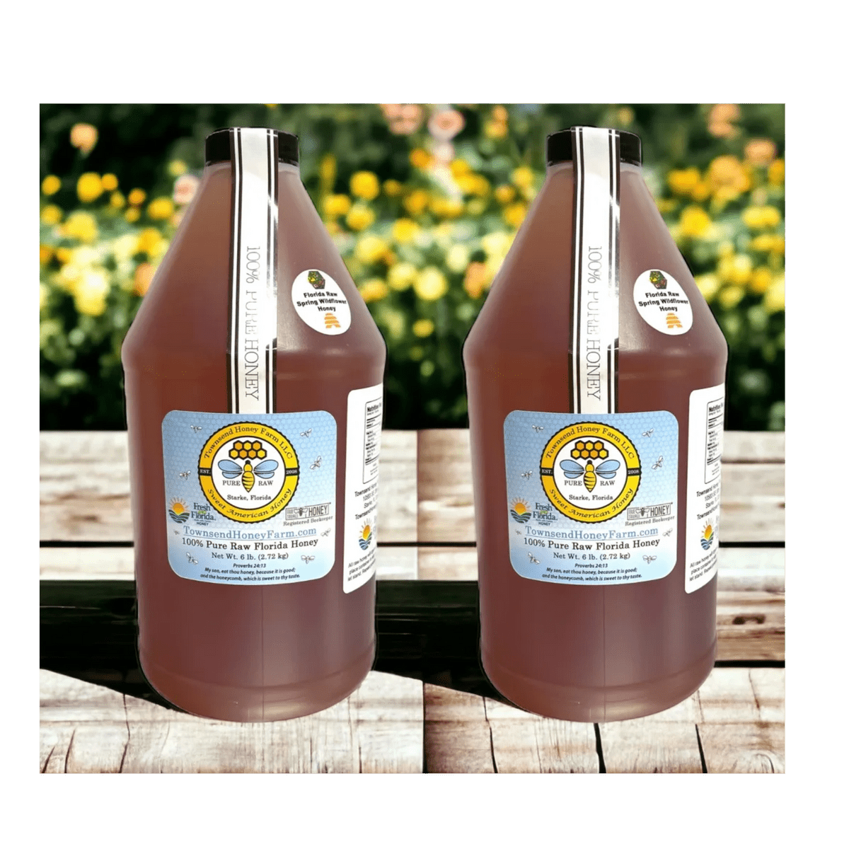 FL Pure Raw Spring Wildflower Honey Gallon Townsend Honey Farm