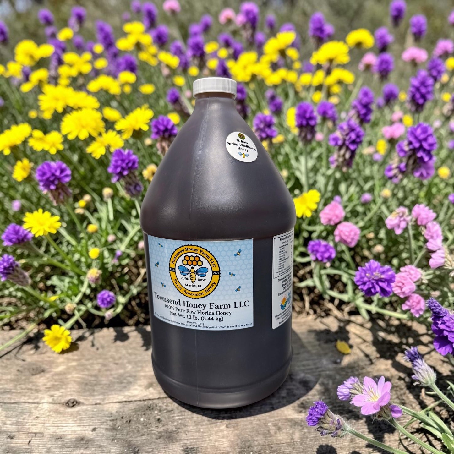 Florida Pure Raw SPRING Wildflower Honey - LOCAL PICK-UP - Townsend Honey Farm LLC