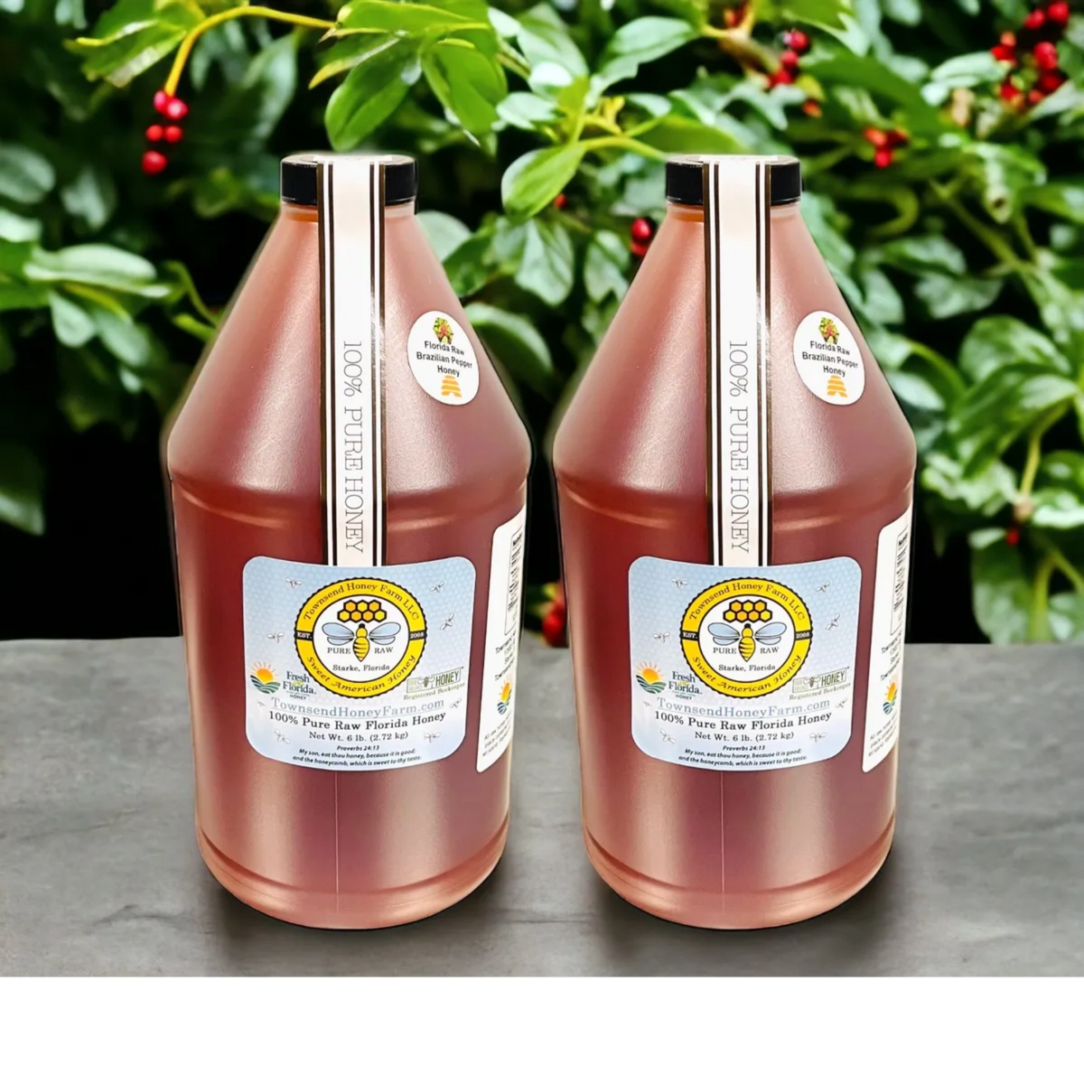 Florida Pure Raw Brazilian Peppertree Honey - 1 Gallon