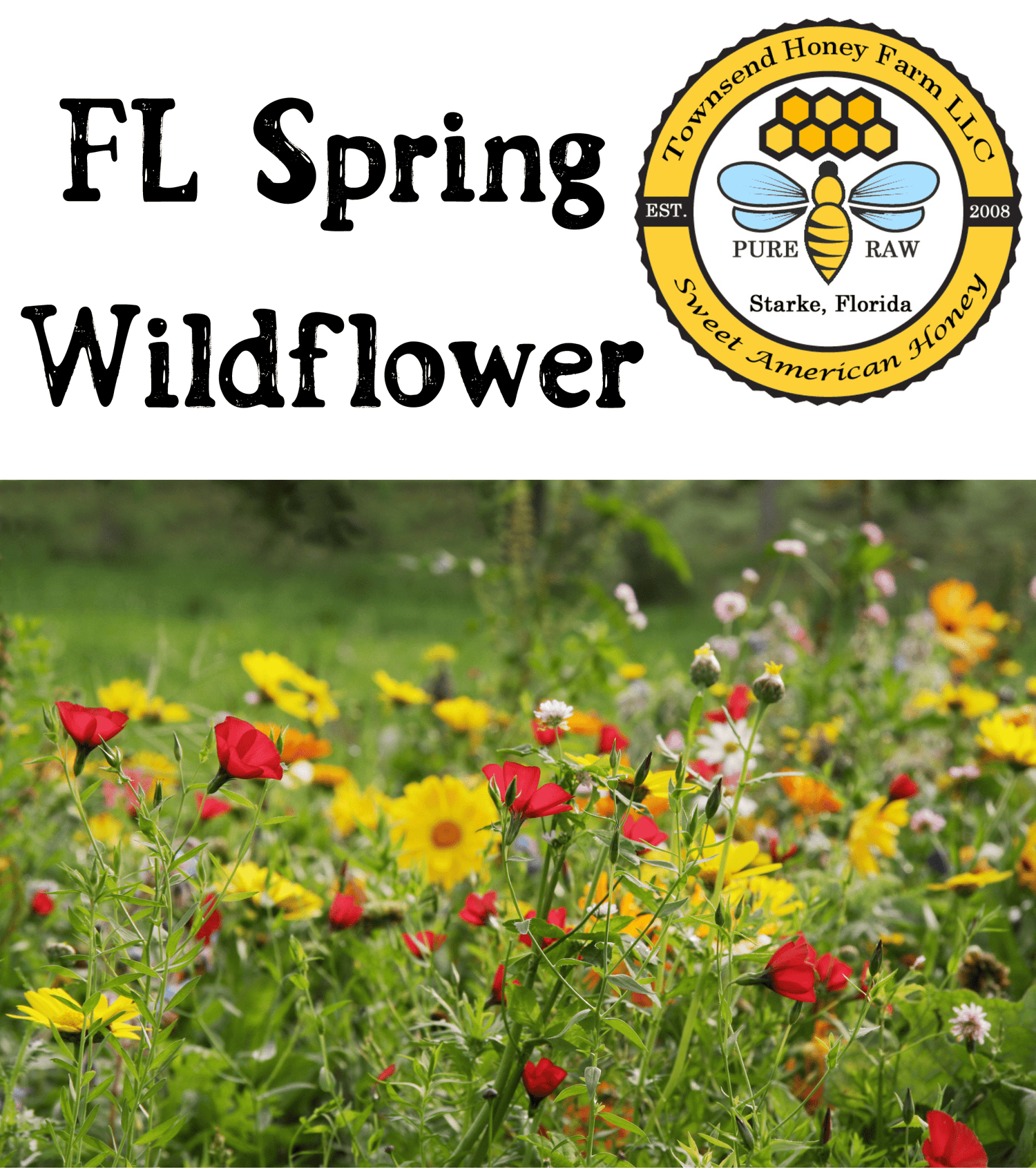 Florida Pure Raw Wildflower Honey - Townsend Honey Farm LLC