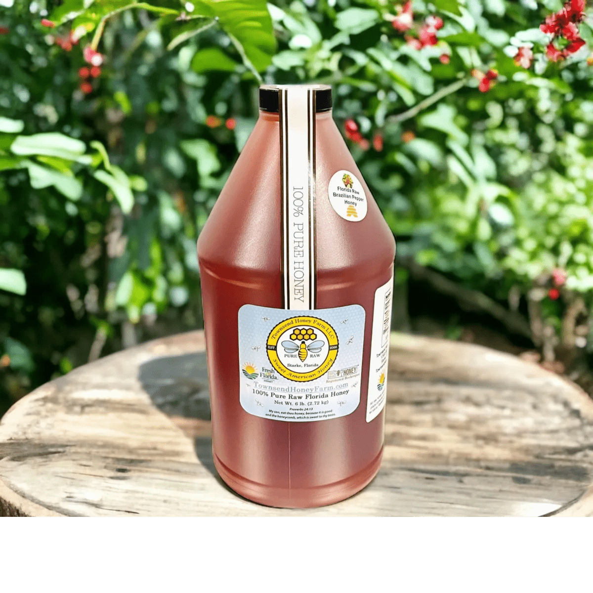 FL Pure Raw Fall Wildflower (Brazilian Tree) Honey Half Gallon Townsend Honey Farm