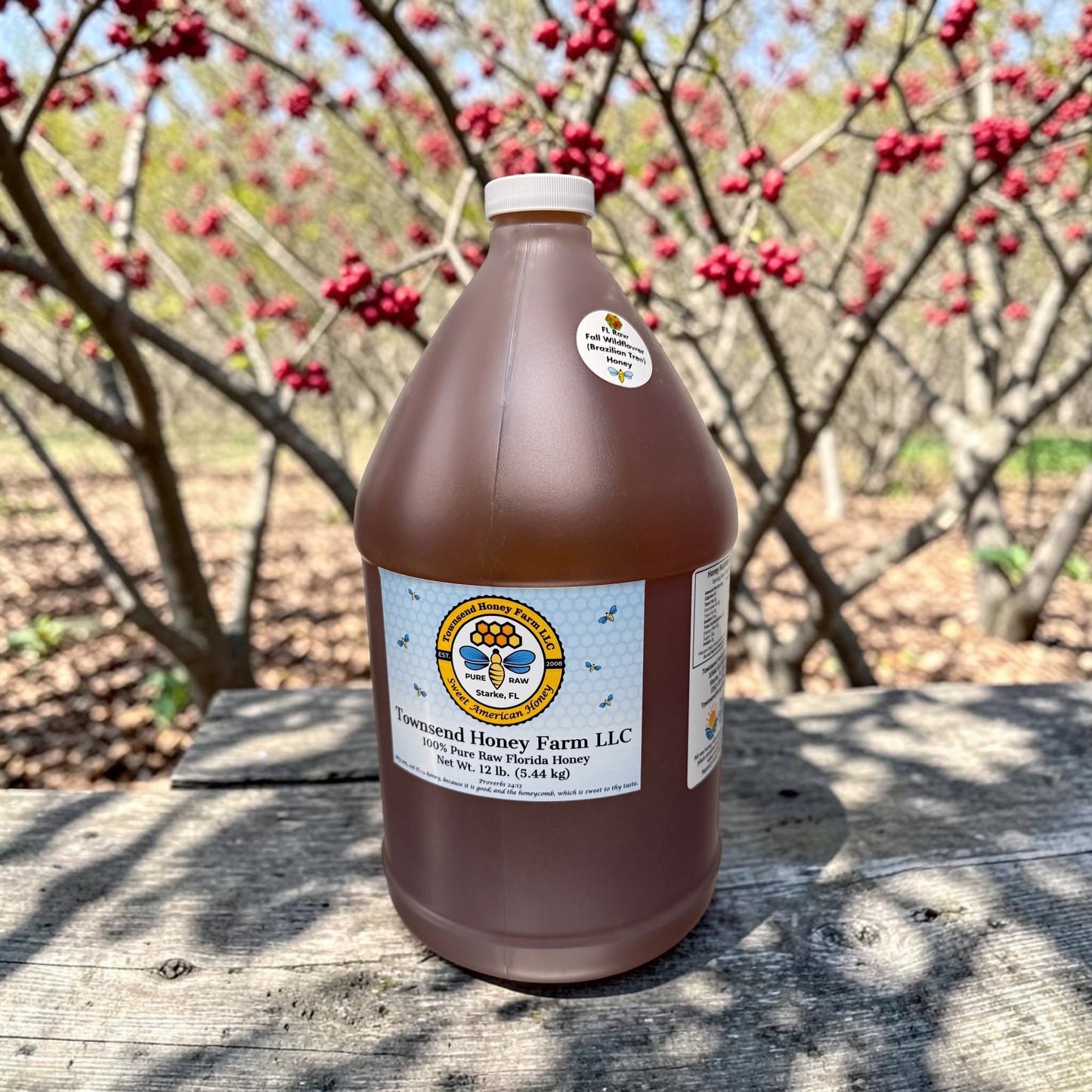 Florida Pure Raw FALL Wildflower (Brazilian Tree) Honey - LOCAL PICK-UP - Townsend Honey Farm LLC