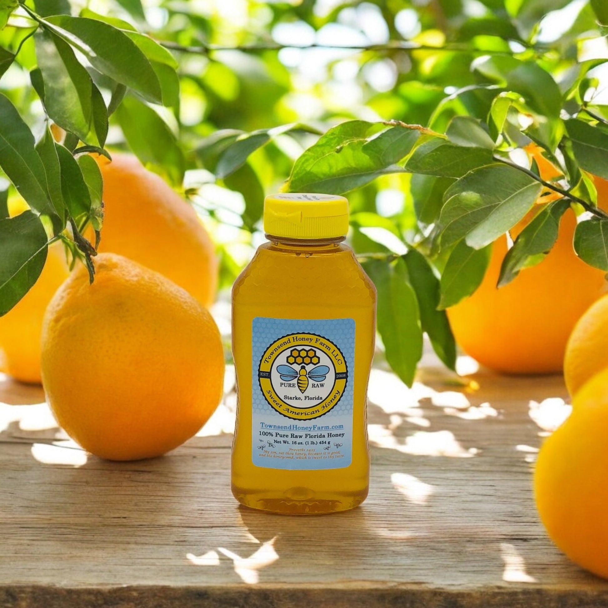 Florida Pure Raw Orange Blossom Honey - 1 lb Squeeze Bottle - Townsend Honey Farm LLC