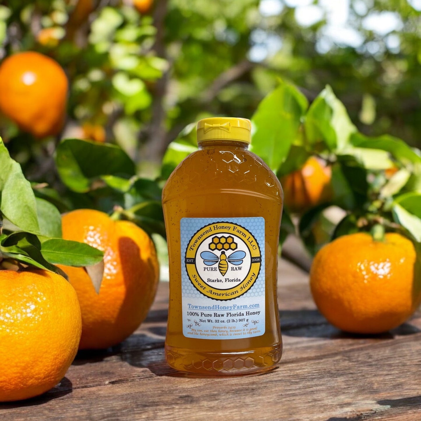 Florida Pure Raw Orange Blossom Honey - LOCAL PICK-UP - Townsend Honey Farm LLC