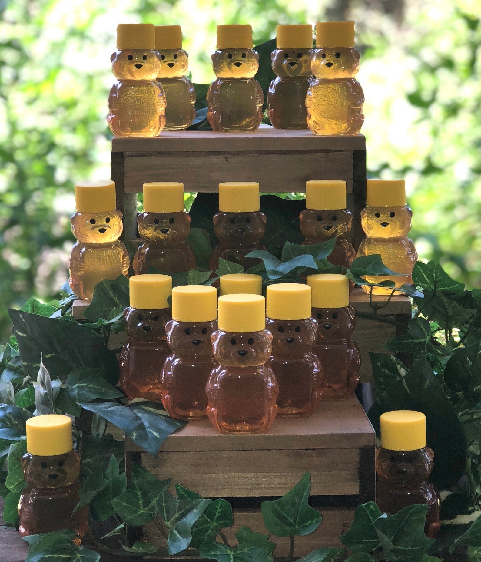 Pure Florida Raw Honey Mini Bears – Set of 100 (2 oz each) - Townsend Honey Farm LLC