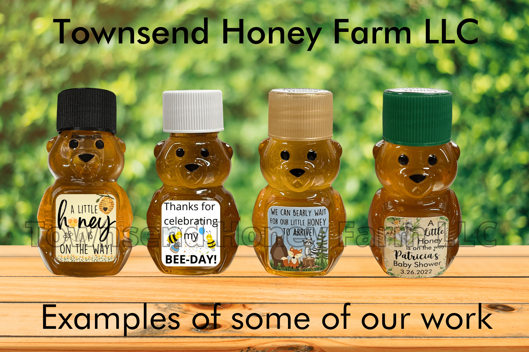 Pure Florida Raw Honey Mini Bears – Set of 100 (2 oz each) - Townsend Honey Farm LLC