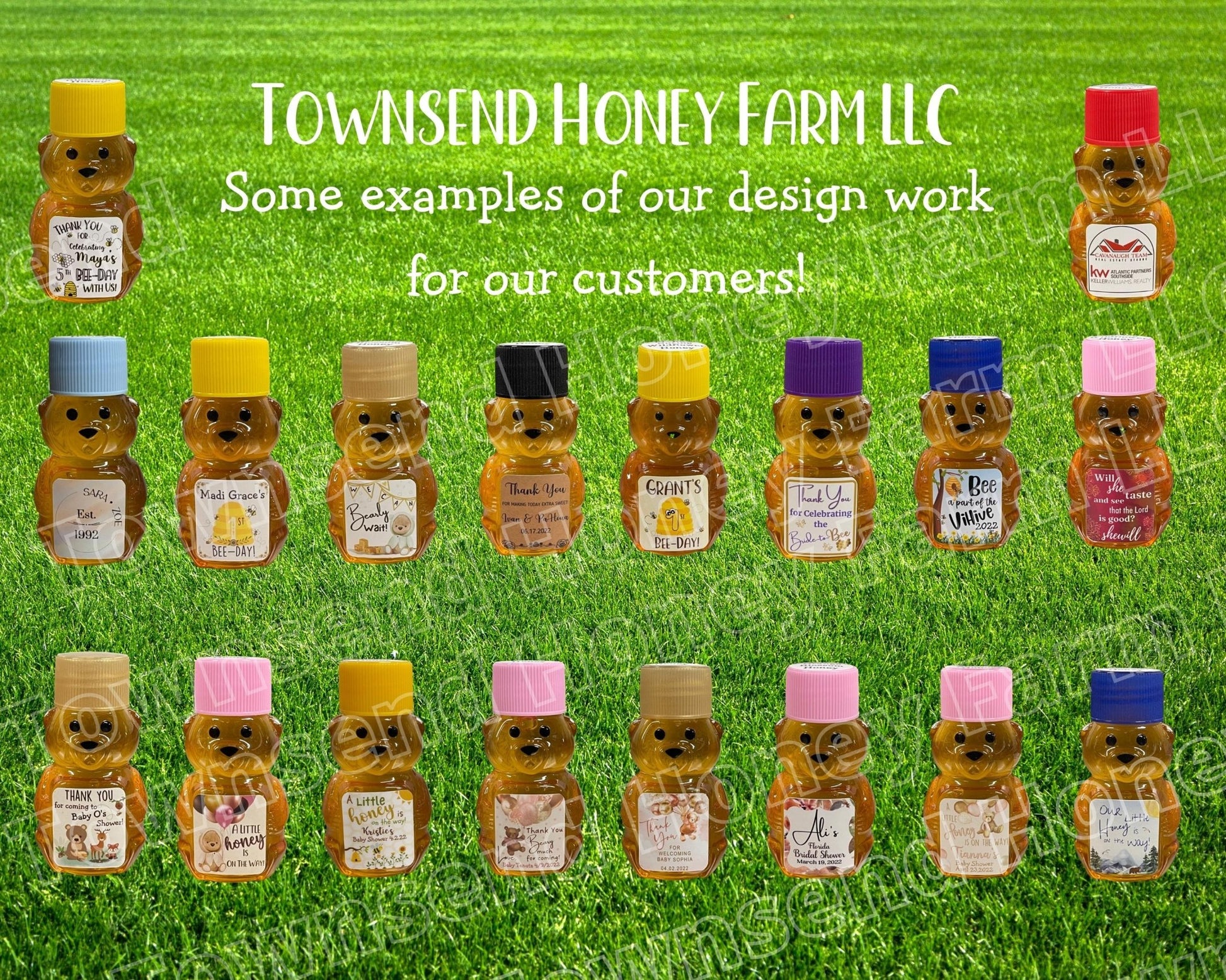 Pure Florida Raw Honey Mini Bears – Set of 100 (2 oz each) - Townsend Honey Farm LLC
